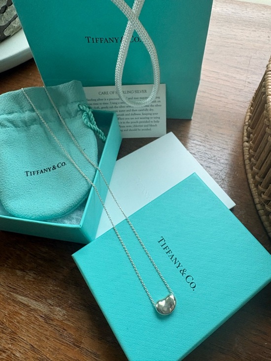 Tiffany & Co. Jewelry - Tiffany & Co. Silver Bean Pendant Necklace with Tiffany Blue Accents